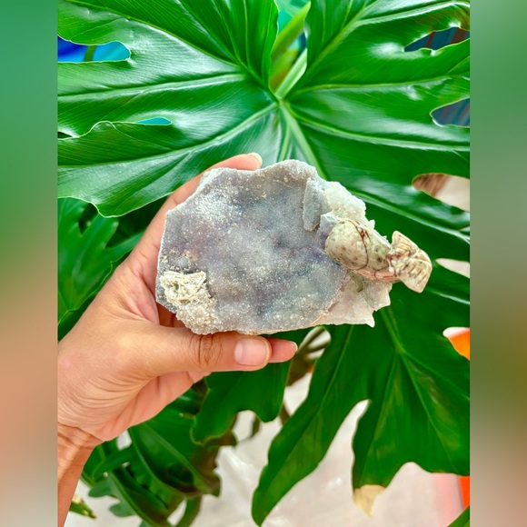 Whale carving on Amethyst flower - Picture 7 of 8